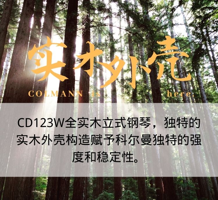CD123W全實(shí)木立式鋼琴.jpg